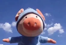 WordPress第三篇,插件模板-内网-新憧憬