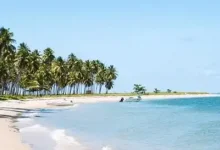 WordPress第四篇,优缺点-内网-新憧憬