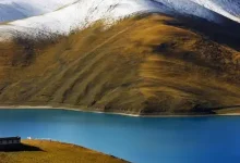 WordPress第五篇,软件功能-内网-新憧憬