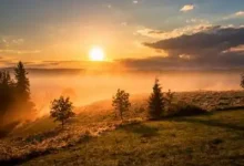 WordPress第六篇,建站流程-内网-新憧憬