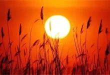 WordPress第七篇,版本介绍-内网-新憧憬