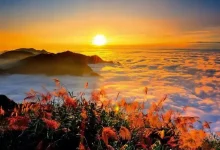 WordPress第八篇,相关信息-内网-新憧憬